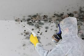 Mold Remediation for Rental Properties in Fox Island, WA